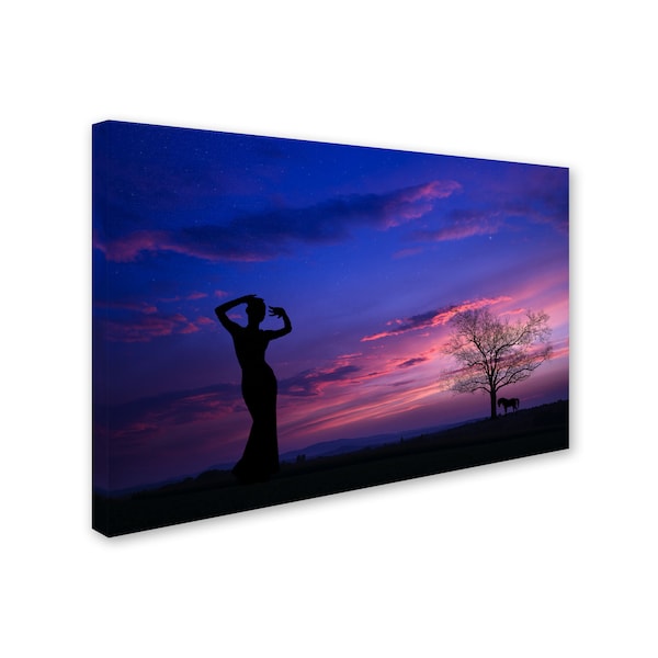 Philippe Sainte-Laudy 'Dance For Me' Canvas Art,12x19